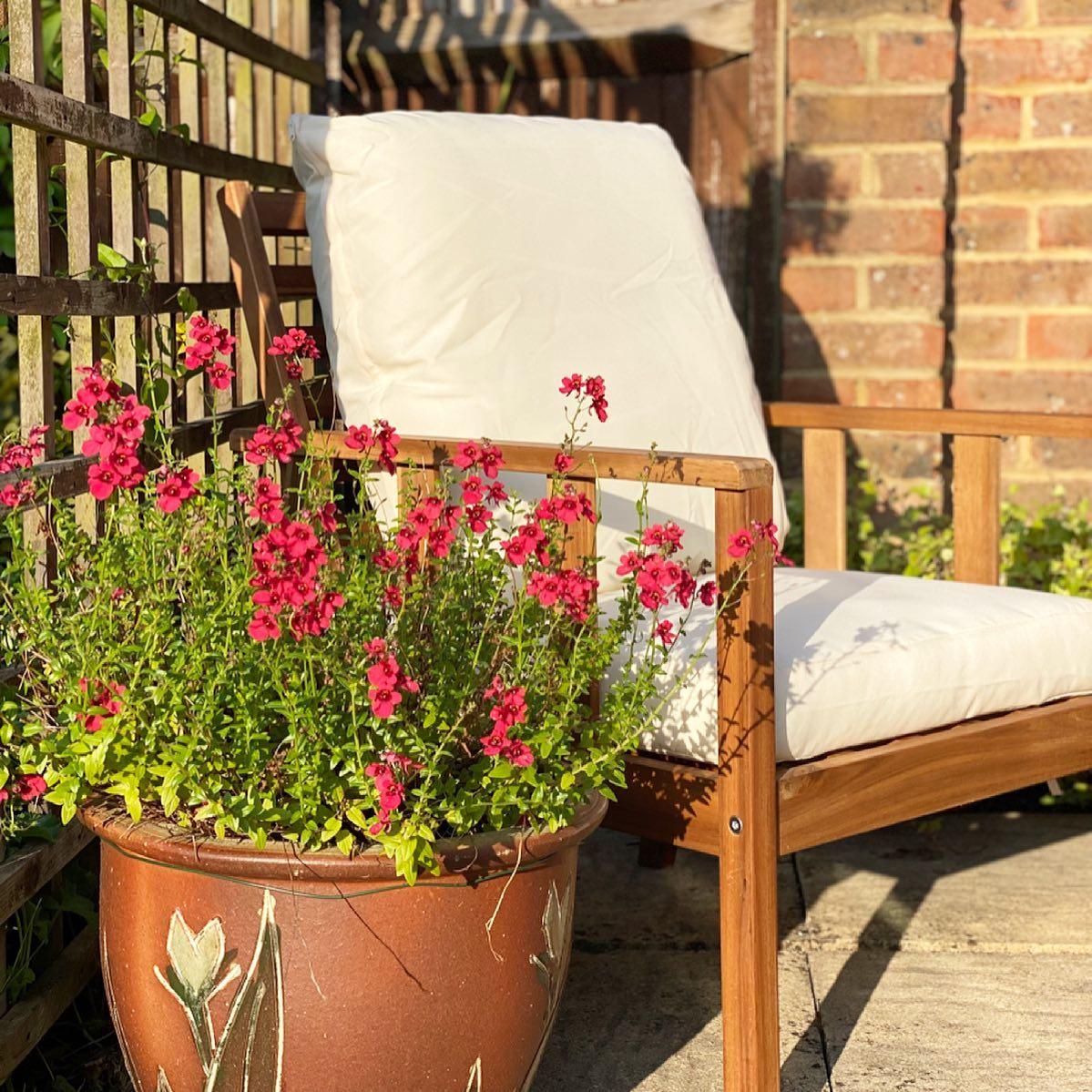 Harrelson Wooden Garden Sofa Set - Natural - Image 15