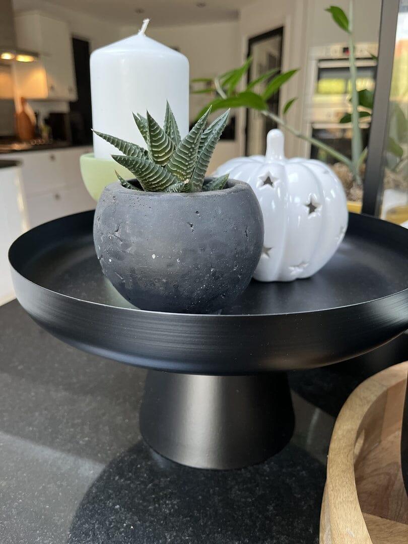 Boswell 28cm Tray - Black Metal - Image 7